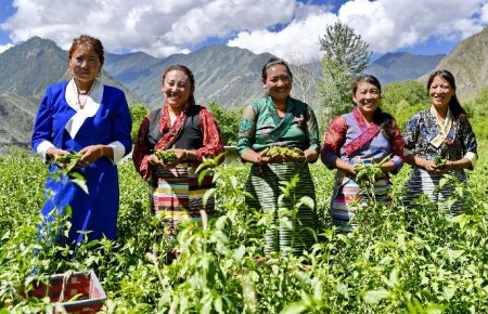 President Xi on development of Tibet