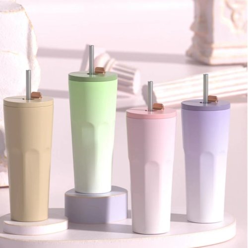 Gradual change color automatic spring straw stainless steel thermos cup